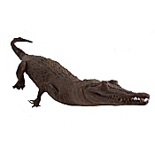 Victorian stuffed crocodile