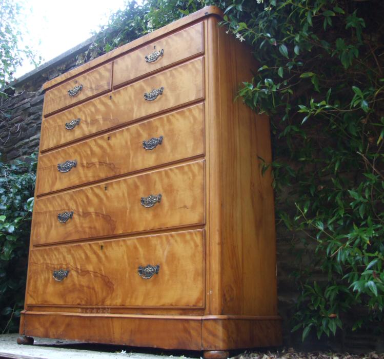 Victorian Satin Birch Chest of Drawers