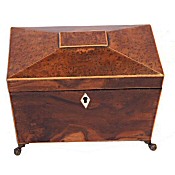 Regency burr elm tea caddy