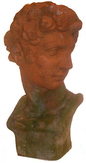 Male bust